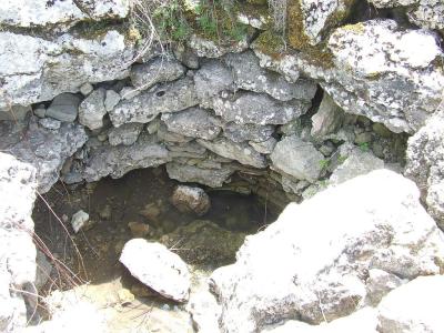 Прикрепленное изображение: DSCF8455.jpg